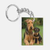 Porte-clés Airedale Terrier Avec Chiot (Devant gauche)