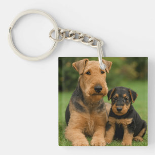 Porte-clés Airedale Terrier Avec Chiot