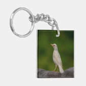 Porte-clés Albino Robin dans Crown Point (Devant gauche)