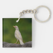 Porte-clés Albino Robin dans Crown Point (Dos)