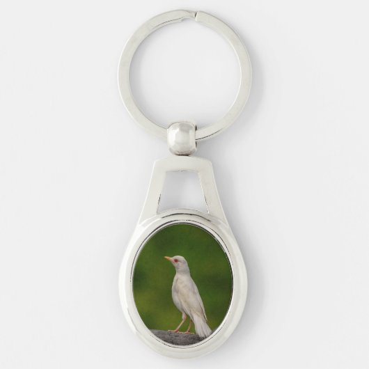 Porte-clés Albino Robin dans Crown Point (Devant)