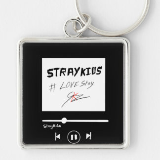 Porte-clés Album Skz 