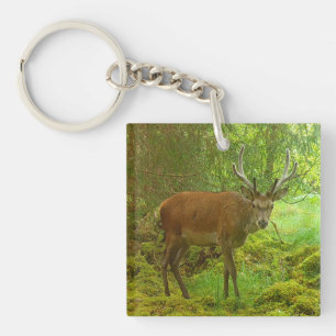 Porte-clés Alerte Cerf Élan Faune Nature Écosse