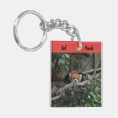 Porte-clés Alerte Red Panda dans un zoo (Devant gauche)