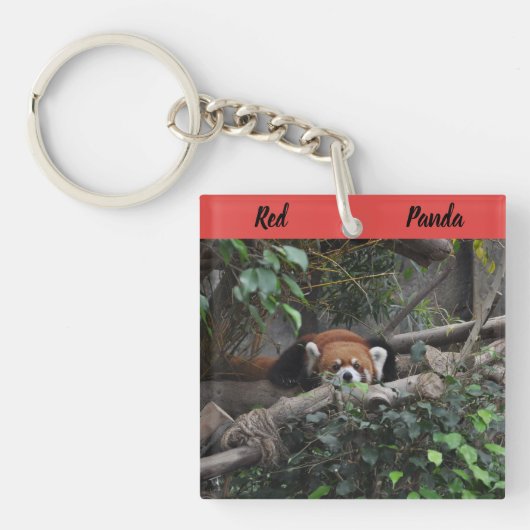 Porte-clés Alerte Red Panda dans un zoo (Devant)