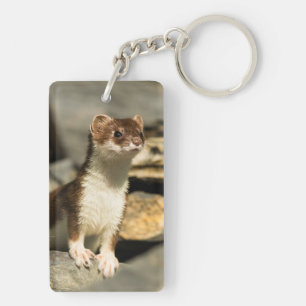 Porte-clés Alerte Weasel
