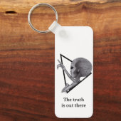 Porte-clés Alien gris, la vérité est là (Recto)