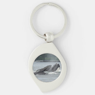 Porte-clés Alimentation des baleines à bosse