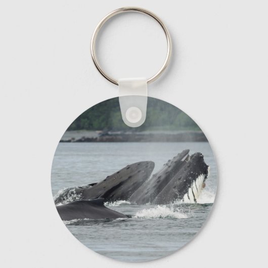 Porte-clés Alimentation des baleines à bosse (Recto)
