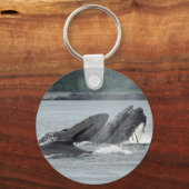 Porte-clés Alimentation des baleines à bosse (Recto)
