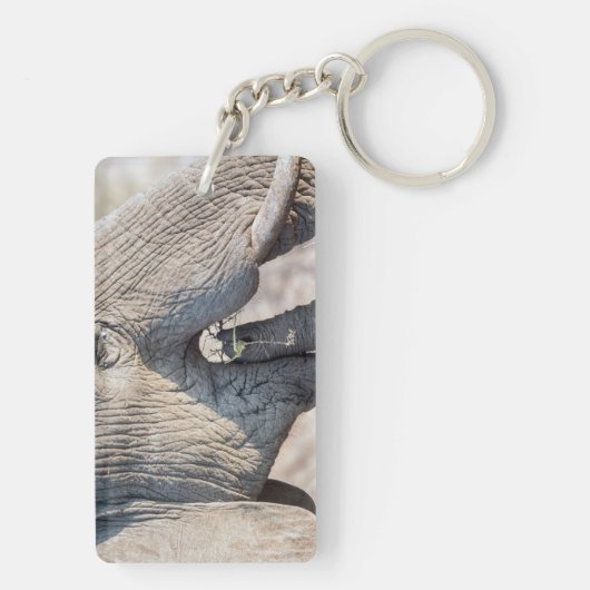 Porte-clés Alimentation des éléphants (Dos)