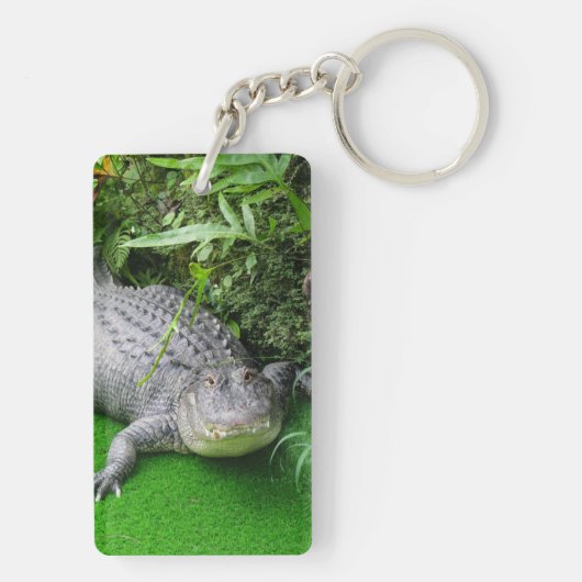 Porte-clés Alligator (Dos)