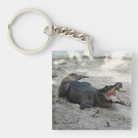 Porte-clés Alligator, Fort Lauderdale, Floride (Devant)