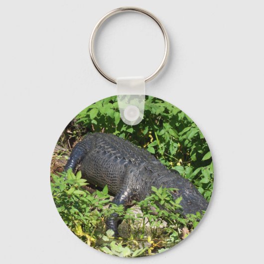 Porte-clés Alligator Silver River (Recto)