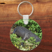Porte-clés Alligator Silver River (Recto)