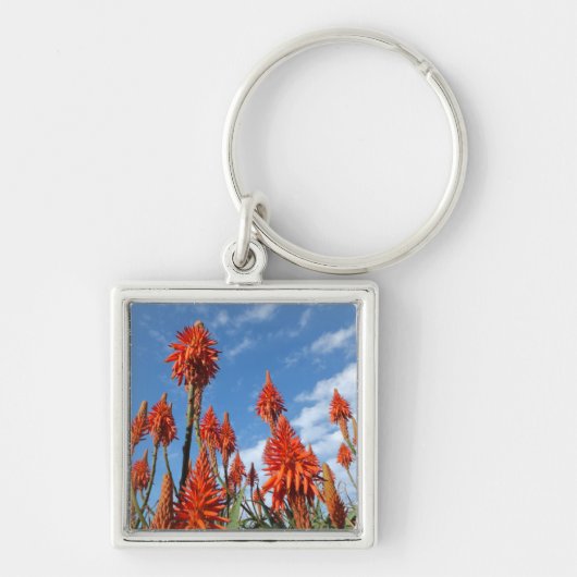 Porte-clés Aloe Arborescens porte - clé (Devant)