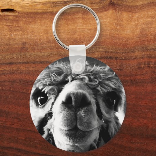 Porte-clés Alpaca (Recto)