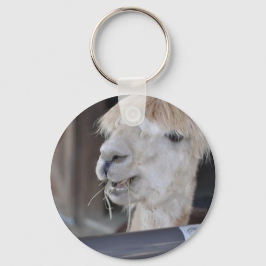 Porte-clés Alpaca, blanc (Recto)