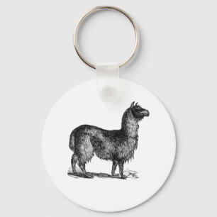 Porte-clés Alpaca Llama Cute Pérou Animal Nature Art
