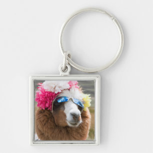 Porte-clés Alpaca, Pachacoto, Cordillère Blanche, Ancash