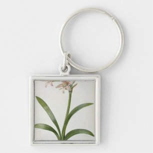 Porte-clés Amaryllis Vittata