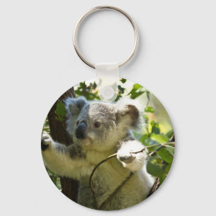 Porte-clés Amazingly cute baby koala in a tree