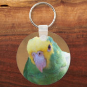 Porte-clés Amazonie à tête jaune double (Recto)