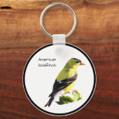 Porte-clés Américain Goldfinch (Recto)