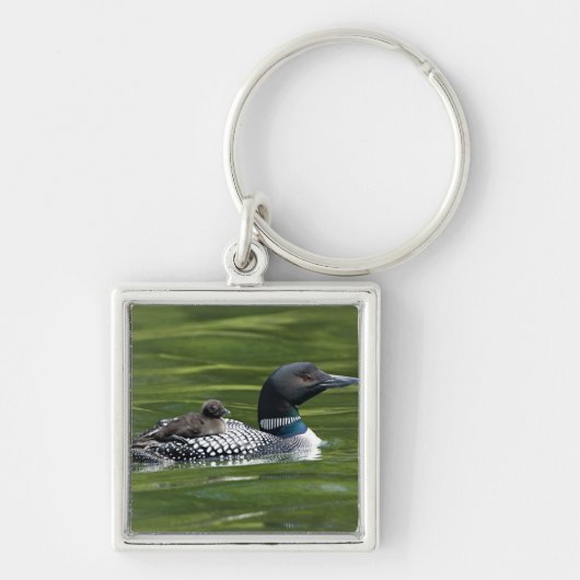 Porte-clés Amérique du Nord, Canada, Colombie-Britannique, La (Devant)