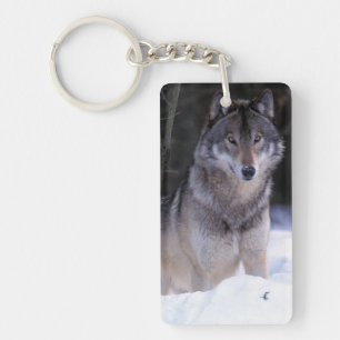 Porte-clés Amérique du Nord, Canada, Est du Canada, Loup gris