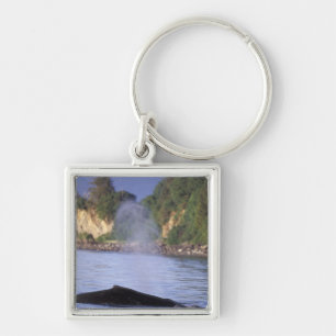 Porte-clés Amérique du Nord, États-Unis, Alaska, Passage Inté