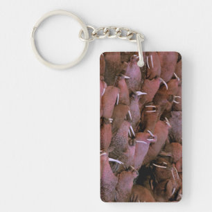 Porte-clés Amérique du Nord, États-Unis, Alaska, Yukon Delta
