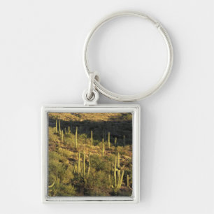 Porte-clés Amérique du Nord, États-Unis, Arizona, désert de S