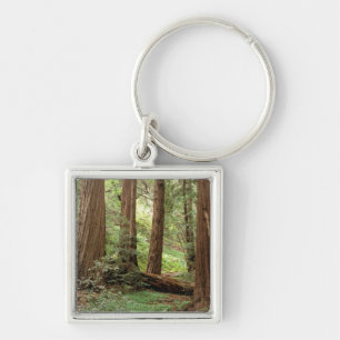 Porte-clés Amérique du Nord, États-Unis, Californie, Big Sur,