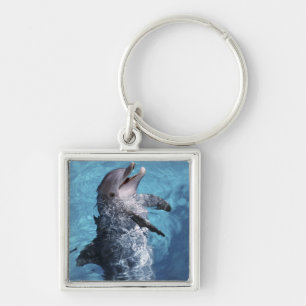 Porte-clés Amérique du Nord, États-Unis, Hawaï. Dauphin