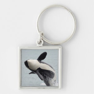 Porte-clés Amérique du Nord, États-Unis, Washington, San Juan