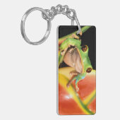 Porte-clés Amérique du Sud, Equateur, Amazonie. Vert clair (Devant gauche)