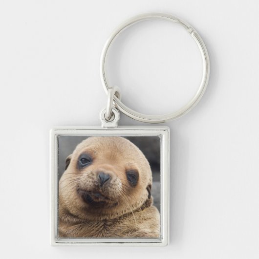 Porte-clés Amérique du Sud, Équateur, îles Galapagos (Devant)