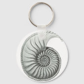 Porte-clés Ammonite (Recto)