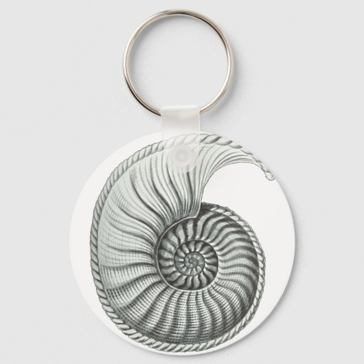 Porte-clés Ammonite (Recto)