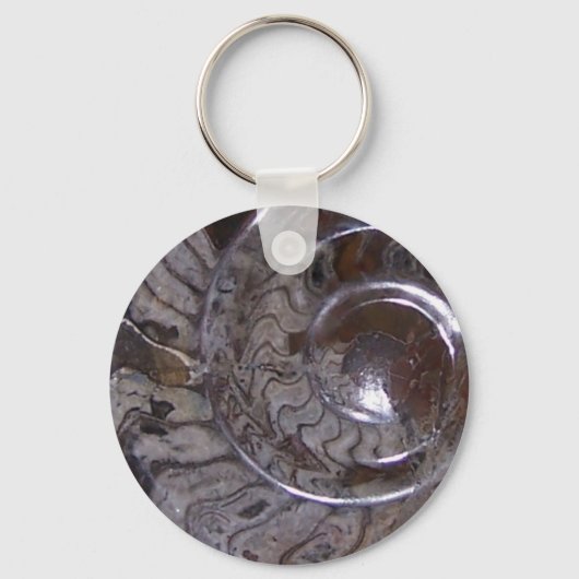 Porte-clés ammonite (Recto)