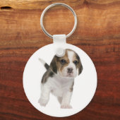 Porte-clés Amour de chiot Beagle (Recto)