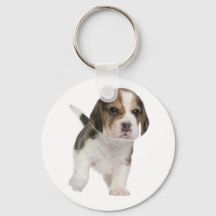 Porte-clés Amour de chiot de beagle