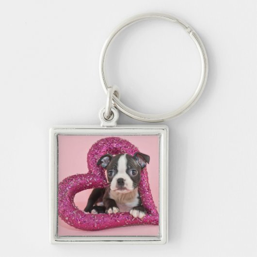 Porte-clés Amour de chiot des images | de Getty (Devant)