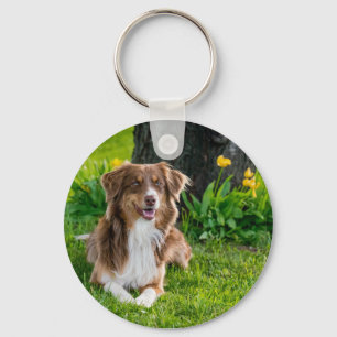Porte-clés Amoureux des chiens photo pour animal de compagnie