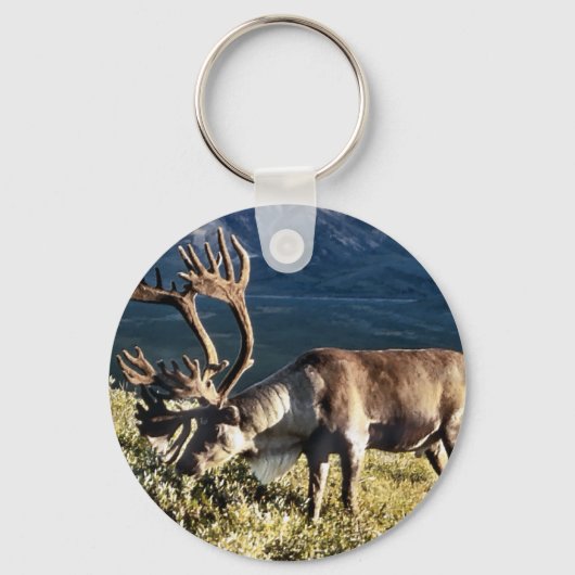 Porte-clés Amoureux du caribou et du renne (Recto)