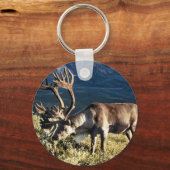 Porte-clés Amoureux du caribou et du renne (Recto)
