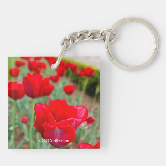 Porte-clés Ampoules d'échappement, gros plan (Dos)