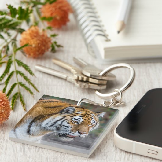 Porte-clés Amur tiger (Devant Droit)