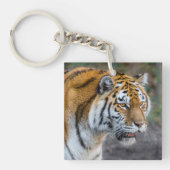Porte-clés Amur tiger (Devant)